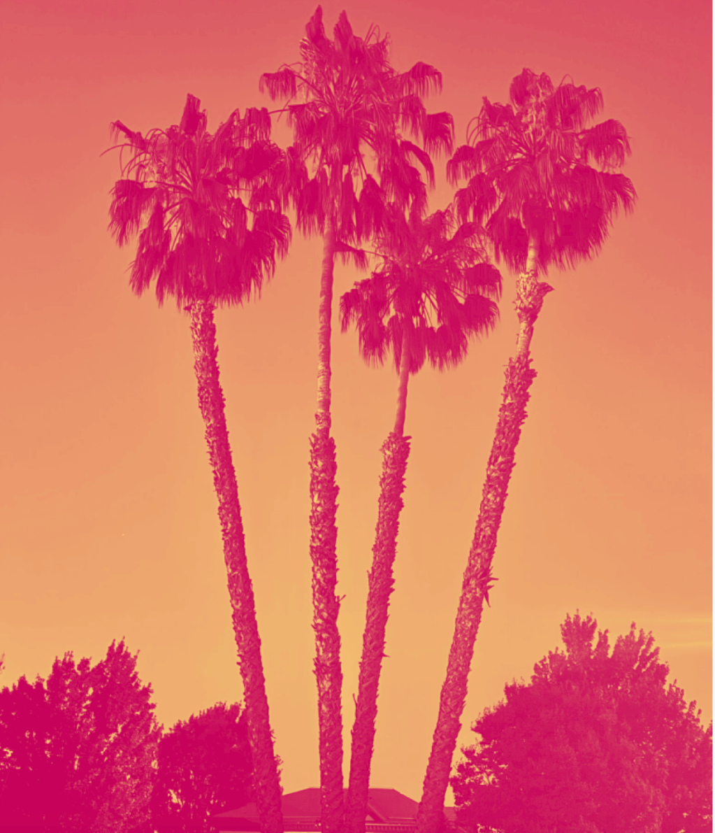 And still, the roots&nbsp;remember